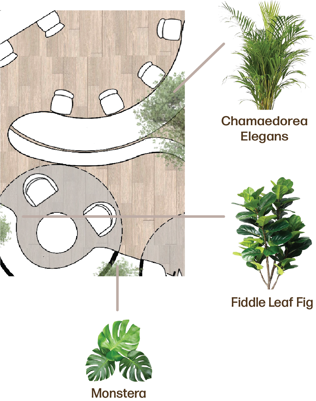 Caffinate - Um Espaço Versátil e Acolhedor